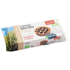 むそう オーガニックイタリアンタルト ブルーベリー