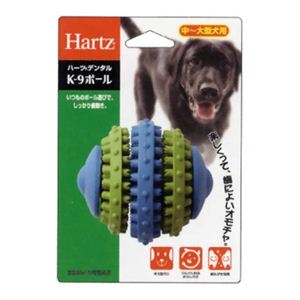 Hartz デンタル K9ボール L 中・大型犬用