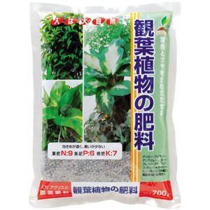 JOY AGRIS 観葉植物の肥料 700g