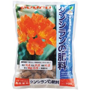 JOY AGRIS クンシランの肥料 700g