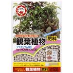 観葉植物の肥料 500g