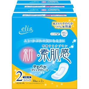 エリス 新・素肌感 ふつう-多い日の昼用 羽なし 30枚×2個入