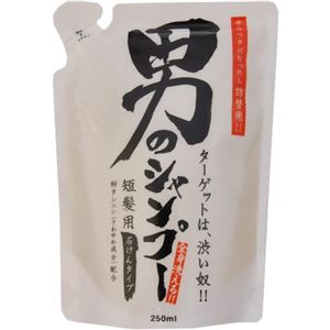 （まとめ買い）男のシャンプー 詰替用 250ml×10セット