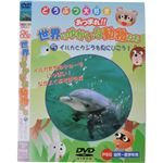 どうぶつ大好きあつまれ!! 世界のゆかいな動物たち 5イルカとクジラを見にいこう!