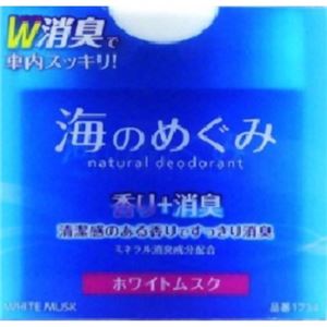 カーオール 海のめぐみ ホワイトムスク 110g