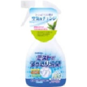 カーオール ミストですっきり消臭 スカッシュ 250ml