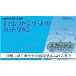 カーオール ギャレットシリーズ用カートリッジ スカッシュ 20g