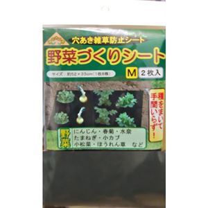 FOREST 野菜づくりシート M 2枚入