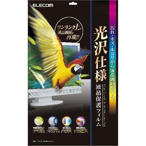 エレコム 液晶保護フィルム 光沢仕様 19インチワイド用 EF-FL19WHG