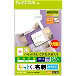 エレコム なっとく。名刺 マイクロミシン 超光沢紙 厚口 ホワイト 250枚(10面×25シート) MT-KMN2WNZ