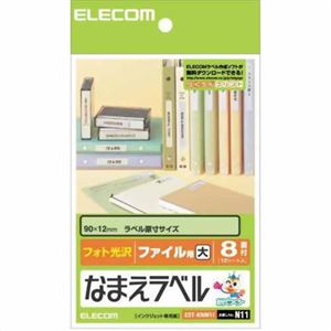 エレコム フォト光沢 なまえラベル ファイル用 大 90×12mm EDT-KNM11