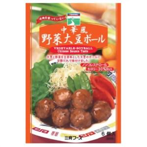 【ケース販売】三育 中華風大豆ボール×15個入