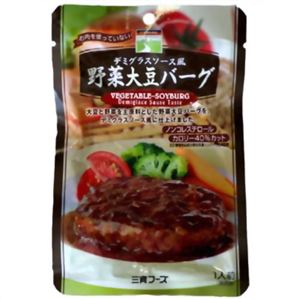 【ケース販売】三育 デミグラスソース風野菜大豆バーグ×15個入