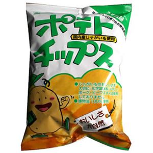 【ケース販売】創健社 ポテトチップス(化学調味料不使用) うす塩味 72g×20個入