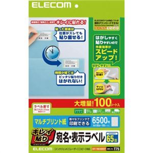 エレコム キレイ貼り 宛名・表示ラベル マルチプリント紙 A4 ホワイト 6500枚(65面×100シート) EDT-TMEX65RZP