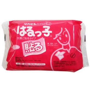 はるっ子 貼るカイロ ミニ 10個入