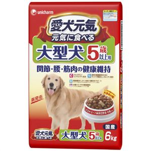 愛犬元気 大型犬 5歳以上用 6kg