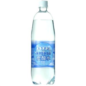 【ケース販売】海洋ミネラル炭酸水 1000ml×12本