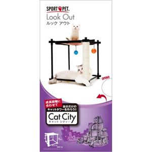 キャットシティ ルックアウト