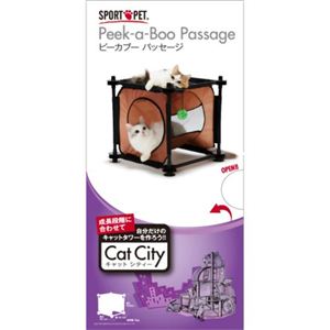 キャットシティ ピーカブー パッセージ