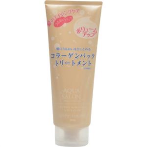 アクアサロン エッセンスパック トリートメントB ボリュームアップタイプ 250g