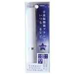 カシムラ 電池式電動歯ブラシ ホワイト TI-135