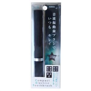 カシムラ 電池式電動歯ブラシ ブラック TI-136