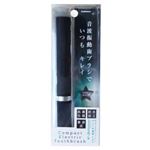 カシムラ 電池式電動歯ブラシ ブラック TI-136
