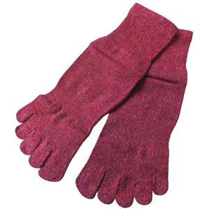 シルク五本指ソックス S(22-24cm) ヴェリーベリー