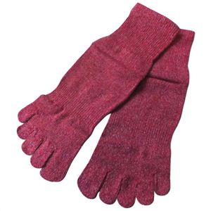 シルク五本指ソックス M(24-26cm) ヴェリーベリー