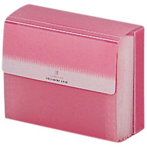 LIHIT LAB ドキュメントケース A6 G-5603-12 ピンク