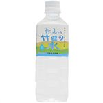 【ケース販売】おいしい竹田の水 500ml×24本