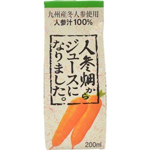 （まとめ買い）【ケース販売】ふくれん 人参畑からジュースになりました。 200ml×12本×4セット