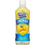 （まとめ買い）【ケース販売】Welch's(ウェルチ) ホームクラフト レモネード 500ml×24本×2セット