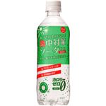 【ケース販売】熱中対策ソーダ ゼロ 青リンゴ味 500ml×24本