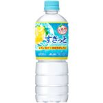 （まとめ買い）【ケース販売】アサヒ 天然水でつくった すきっと レモン果汁×凍結粉砕レモン 600ml×24本×2セット