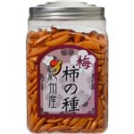 （まとめ買い）大橋珍味堂 梅柿の種 紀州産 220g×10セット