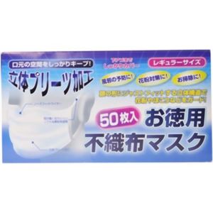 （まとめ買い）お徳用 不織布マスク 50枚入×5セット - 拡大画像