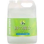 （まとめ買い）緑の魔女 キッチン 業務用 5L×2セット