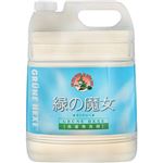 （まとめ買い）緑の魔女 ランドリー 業務用 5L×3セット