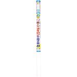 （まとめ買い）麻入りアイロン貼り障子紙 雲竜 69cm×4.3m×4セット