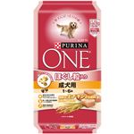 （まとめ買い）ピュリナワン ドッグ ほぐし粒入り1-6歳成犬用チキン 4.2kg×2セット