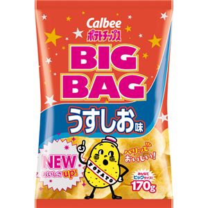 【ケース販売】カルビー ポテトチップス ビッグバッグ うすしお味 170g×12袋 - 拡大画像