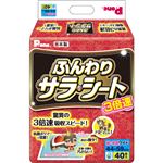 （まとめ買い）第一衛材 3倍速 ふんわりサラ・シート ワイド 40枚×4セット