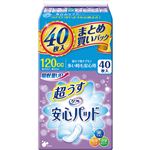 （まとめ買い）リフレ 安心パッド 超うす レギュラー 100cc 40枚入×3セット