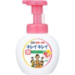 （まとめ買い）キレイキレイ 薬用泡ハンドソープ フルーツミックスの香り 本体 250ml×10セット