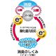 アレンジ消臭フラワー　2個セット(ローズ・ベリー各1個) - 縮小画像5