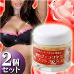 ��2�ĥ��åȡ۰���ץ���ꥢ�������ե쥰���