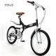 GROWING FLAT　20インチ　折りたたみ自転車 ブラック - 縮小画像1