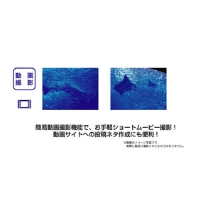 防水ケース付 トイデジカメ　WATER MIRUMIRU画像5